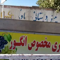 آبگیری انگور با دستگاه تمام استیل پرس