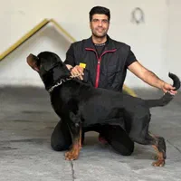 آموزش سگ .سگ گارد.مربی سگ