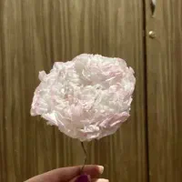 گل و کادو|گل مصنوعی|بجنورد, |دیوار