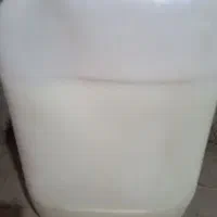 فروش شیر بز تازه