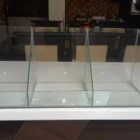 قفسه شیشه ای