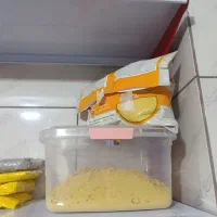 پت شاپ پرندگان ترینو ،جفت مولدوجوجه سری لاکی عروس|پرنده|فسا, |دیوار