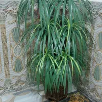 درختچه مصنوعی