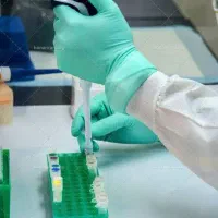 جویای کار یا کاراموزی