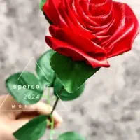 باکس و دسته گل های روبانی فومی و کاغذی|گل مصنوعی|مشهد, آزادشهر|دیوار