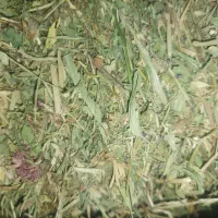 پرس یونجه|لوازم جانبی حیوانات|بروجرد, |دیوار