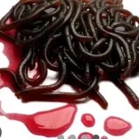 طعمهای ژ له ای و کرم مصنوعی از طبیعی خوشگل تر