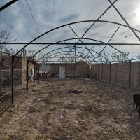 فروش گلخانه