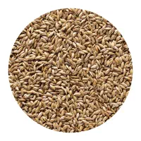 گوش دنی ، تخم کتان