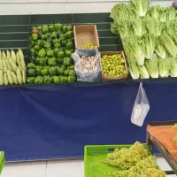 پالت میوه فروشی|فروشگاه و مغازه|نسیم‌شهر, |دیوار