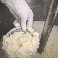 کره دوغی محلی|خوردنی و آشامیدنی|مشهد, امام رضا (ع)|دیوار