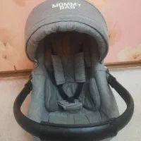 کریر مامی بگ