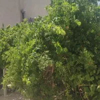 ویلایی گلدیس خیابان ابوذر ۲۰۳ متری جنوبی