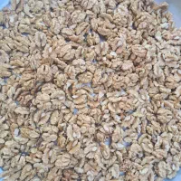 گردو ارگانیک ودرجه یک برای درختان ۲۰۰ساله|خوردنی و آشامیدنی|محمدشهر, محمدشهر|دیوار