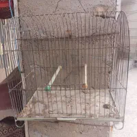 فروش دو عدد قفس|لوازم جانبی حیوانات|اهواز, کمپلو شمالی|دیوار