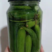 خیار شور خانگی