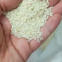 برنج عنبر بو