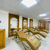 جذب نیرو