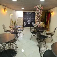 بازی مافیا|گردهمایی و همایش|مشهد, تلگرد|دیوار