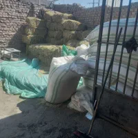 خوراک دام وطیور