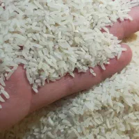 برنج لاشه هاشمی درجه یک اصل|خوردنی و آشامیدنی|اردبیل, |دیوار