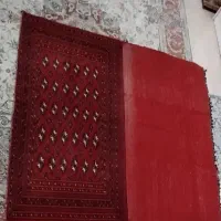 یک عددپشتی ترکمن بزرگ دست بافت ریز پرنشده|پشتی|کرج, کوی کارمندان جنوبی|دیوار