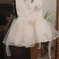 کاپشن و لباس نو|لباس|یزد, |دیوار