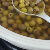 انواع زیتون