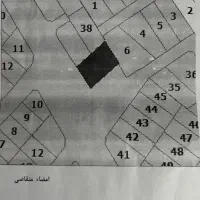 زمین بلوار امام علی خیابان شهید حسینی نژاد