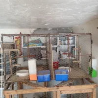 قفس بزرگ دوطبقه بری همه پرنده