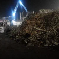 تعاونی خرید چوب سر پا و برش خورده به نرخ شرکتی