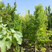 خانه گاریزات|فروش خانه و ویلا|گاریزات, |دیوار