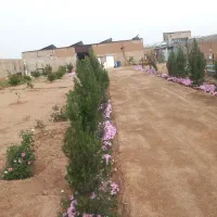 سرایداری