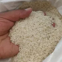 برنج کلات درگز درونگر