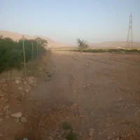 زمین جهت باغستان انجیر