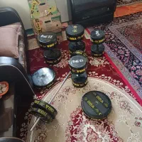 دمبل هالتر