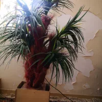 نخل مصنوعی تزئینی