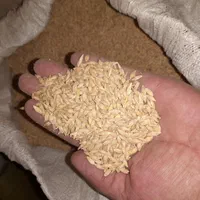 فروش عمده خوراک دام جو، یونجه ،کاه ،سبوس ،چاپر|لوازم جانبی حیوانات|خمینی‌شهر, |دیوار