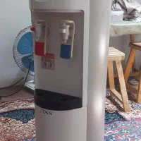 ابسردکن ژاپنی