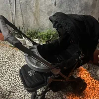 کالسکه|کالسکه و لوازم جانبی|رشت, پاستوریزه|دیوار