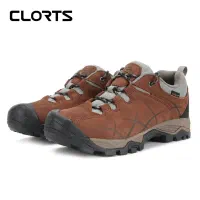 کفش اپروچ ، کلارتس