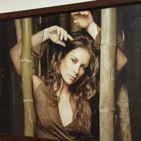 تابلو پرتره چهره