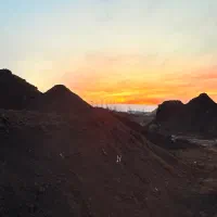 کمپوست گیاهی / خاک نشا / خاک گل و گیاه / بستر کشت