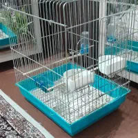 قفس سه عدد متوسط ویک عدد بزرگ جای طوطی|لوازم جانبی حیوانات|سنندج, |دیوار