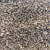 فروش یه تن کنجد