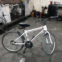 دوچرخه ۲۴ درحد