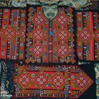 زیح بدن استین