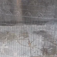 پارک سگ