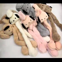 گوشگیر بچگانه