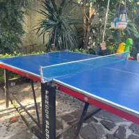 میز تنیس روی میز
